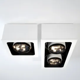 Roof deltalight